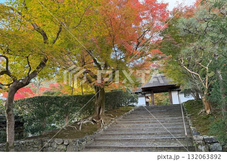 京都市左京区鹿ヶ谷 住蓮山安楽寺の紅葉 京都市左京区鹿ヶ谷 住蓮山安楽寺の紅葉 132063892
