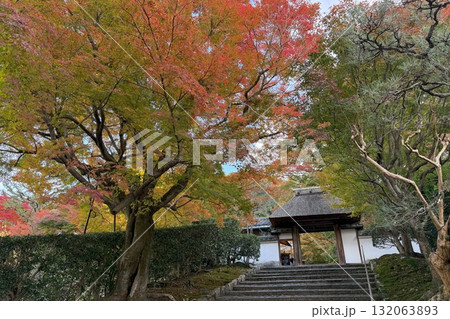 京都市左京区鹿ヶ谷 住蓮山安楽寺の紅葉 京都市左京区鹿ヶ谷 住蓮山安楽寺の紅葉 132063893