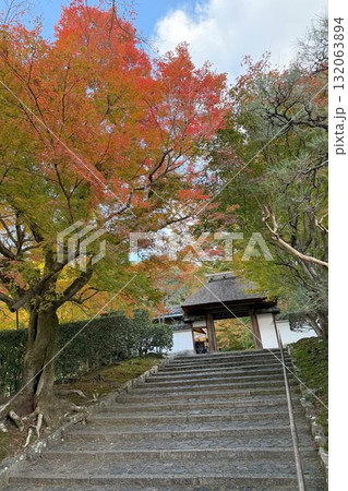 京都市左京区鹿ヶ谷　住蓮山安楽寺の紅葉 132063894