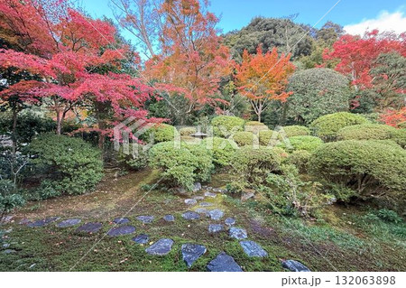 京都市左京区鹿ヶ谷　住蓮山安楽寺の紅葉 132063898