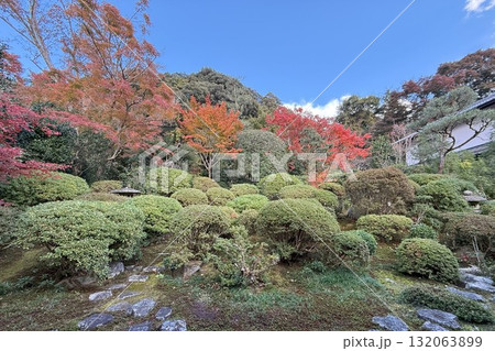 京都市左京区鹿ヶ谷　住蓮山安楽寺の紅葉 132063899