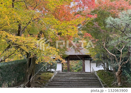 京都市左京区鹿ヶ谷 住蓮山安楽寺の紅葉 京都市左京区鹿ヶ谷 住蓮山安楽寺の紅葉 132063900