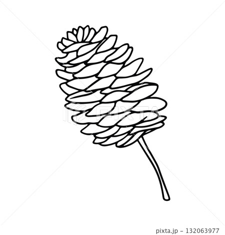 Pine Cone Icon  with Hand Drawn Black and White Thick Lines Pine Cone Icon  with Hand Drawn Black and White Thick Lines 132063977