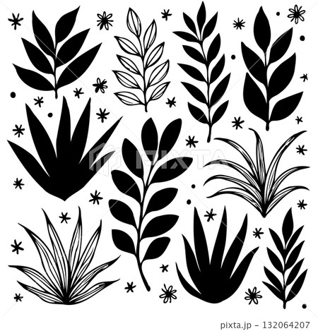 Stylized Black and White Floral Design with Various Leaves and Flower Elements 132064207