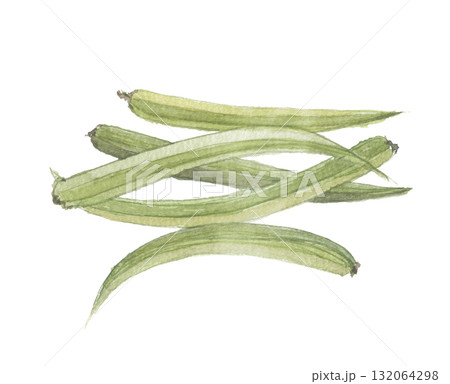 水彩で描いたクラスタマメ　グアー豆 132064298