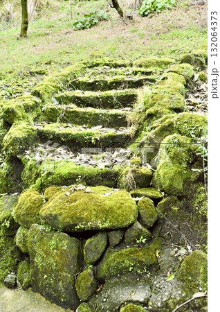 苔むした石段(鹿児島県鹿児島市) 苔むした石段(鹿児島県鹿児島市) 132064373