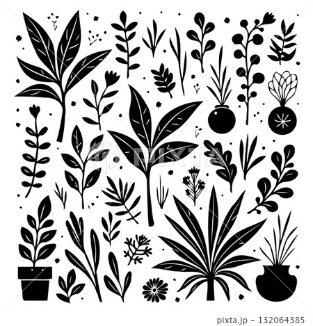 Elegant botanical pattern showcasing black and white floral and plant designs Elegant botanical pattern showcasing black and white floral and plant designs 132064385
