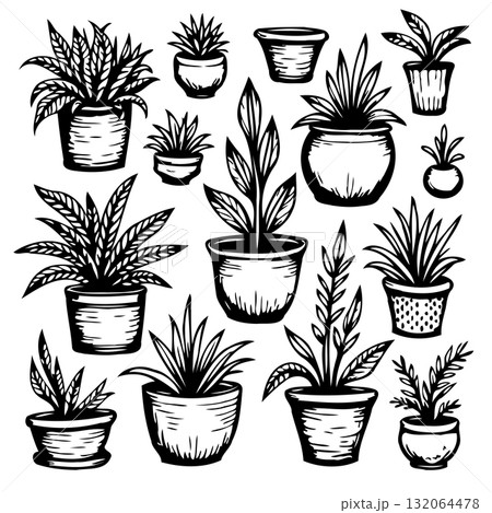 Black and white vector illustration of a set of houseplants in pots isolated Black and white vector illustration of a set of houseplants in pots isolated 132064478