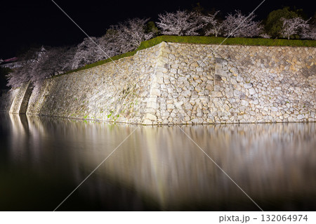 春の兵庫県姫路市 世界遺産 国宝姫路城と夜桜 春の兵庫県姫路市 世界遺産 国宝姫路城と夜桜 132064974