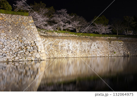 春の兵庫県姫路市 世界遺産 国宝姫路城と夜桜 春の兵庫県姫路市 世界遺産 国宝姫路城と夜桜 132064975