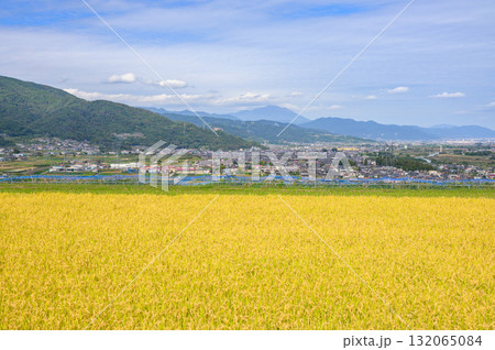 姨捨の棚田と善光寺平【千曲市】 姨捨の棚田と善光寺平【千曲市】 132065084