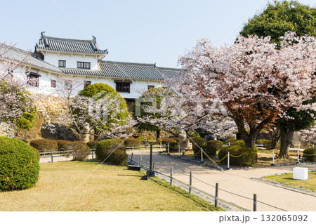春の兵庫県姫路市 世界遺産 国宝姫路城と桜 春の兵庫県姫路市 世界遺産 国宝姫路城と桜 132065092