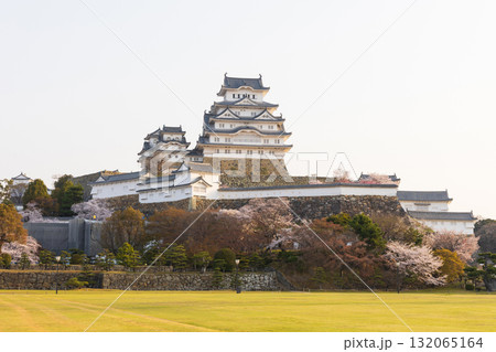春の兵庫県姫路市 世界遺産 国宝姫路城と桜 春の兵庫県姫路市 世界遺産 国宝姫路城と桜 132065164