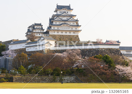 春の兵庫県姫路市　世界遺産　国宝姫路城と桜 132065165