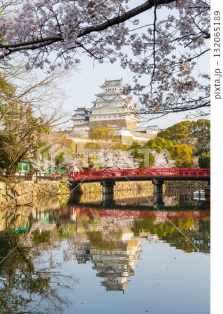 春の兵庫県姫路市 世界遺産 国宝姫路城と桜 春の兵庫県姫路市 世界遺産 国宝姫路城と桜 132065189