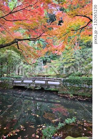京都市左京区鹿ヶ谷 法然院の紅葉 132065230
