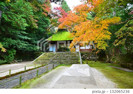 京都市左京区鹿ヶ谷 法然院の紅葉 京都市左京区鹿ヶ谷 法然院の紅葉 132065236