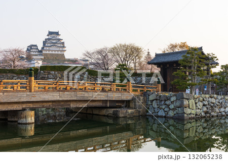 春の兵庫県姫路市 世界遺産 国宝姫路城と桜 春の兵庫県姫路市 世界遺産 国宝姫路城と桜 132065238