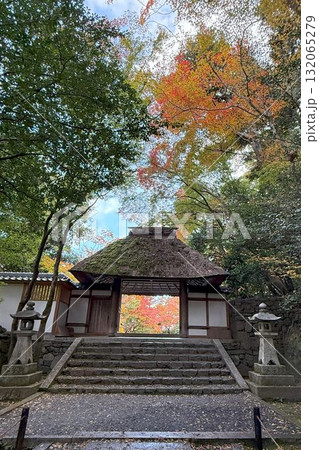 京都市左京区鹿ヶ谷 法然院の紅葉 京都市左京区鹿ヶ谷 法然院の紅葉 132065279