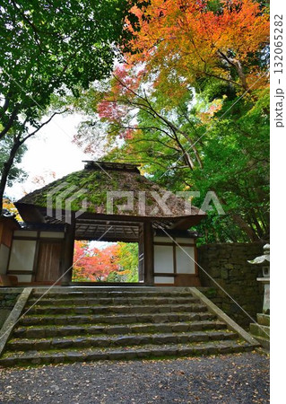 京都市左京区鹿ヶ谷 法然院の紅葉 132065282