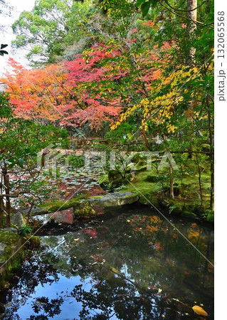 南禅寺 天授庵の紅葉と池泉回遊式庭園に泳ぐ錦鯉 南禅寺 天授庵の紅葉と池泉回遊式庭園に泳ぐ錦鯉 132065568