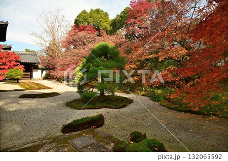南禅寺　天授庵の紅葉と池泉回遊式庭園 132065592
