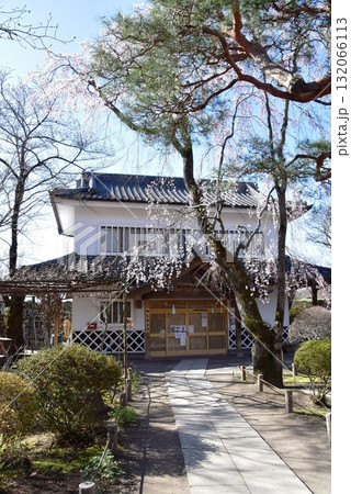 長野県　小諸城址懐古神社境内と桜 132066113