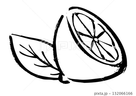 半分にカットされたレモンと葉のイラスト 半分にカットされたレモンと葉のイラスト 132066166