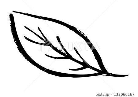 筆タッチの手描きの葉のイラスト 132066167