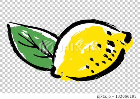 Hand-drawn illustration of lemon and leaves with brush strokes 132066195