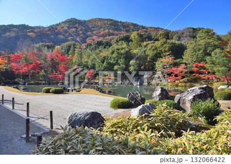 世界遺産　京都 嵯峨嵐山 臨済宗大本山 天龍寺の紅葉 132066422