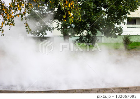 Low-Lying Park Mist and Steam Under Green Foliage — Atmospheric Urban Fog Low-Lying Park Mist and Steam Under Green Foliage — Atmospheric Urban Fog 132067095