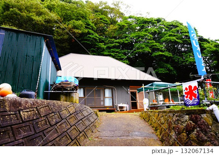 しまの茶屋どんぐり　田代島　猫の島　ネコ 132067134