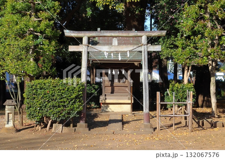 秋の峯ヶ岡八幡神社:諏訪社(埼玉県川口市) 秋の峯ヶ岡八幡神社:諏訪社(埼玉県川口市) 132067576