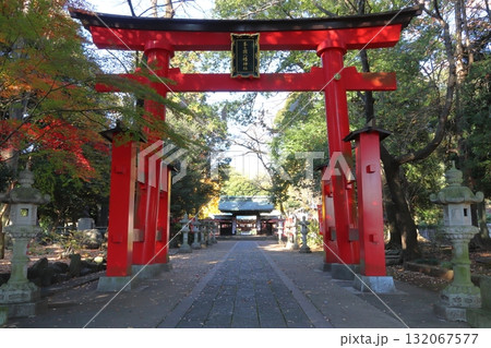 秋の峯ヶ岡八幡神社:大鳥居(埼玉県川口市) 秋の峯ヶ岡八幡神社:大鳥居(埼玉県川口市) 132067577