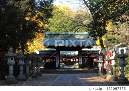 秋の峯ヶ岡八幡神社：神門（埼玉県川口市） 132067578