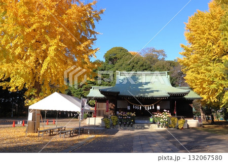秋の峯ヶ岡八幡神社：拝殿／大銀杏（埼玉県川口市） 132067580