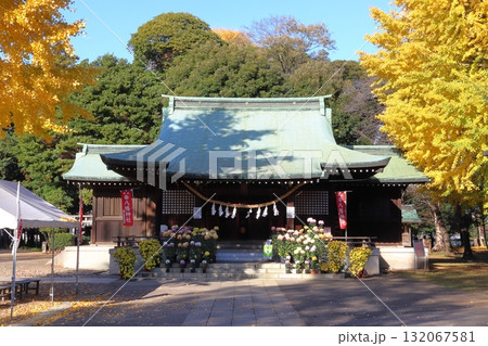 秋の峯ヶ岡八幡神社：拝殿／大銀杏（埼玉県川口市） 132067581