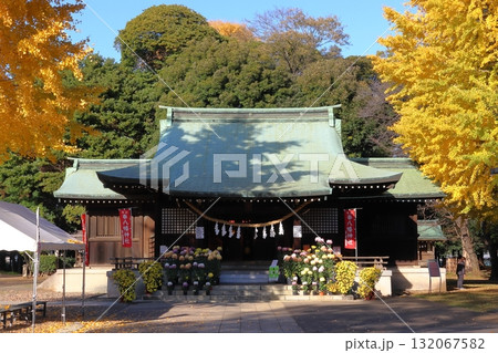 秋の峯ヶ岡八幡神社:拝殿/大銀杏(埼玉県川口市) 秋の峯ヶ岡八幡神社:拝殿/大銀杏(埼玉県川口市) 132067582