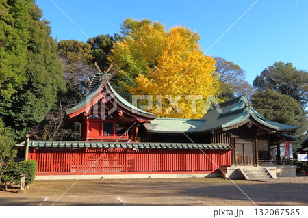 秋の峯ヶ岡八幡神社:本殿(埼玉県川口市) 秋の峯ヶ岡八幡神社:本殿(埼玉県川口市) 132067585