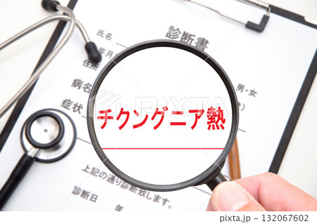 チクングニア熱（蚊媒介感染症） 132067602