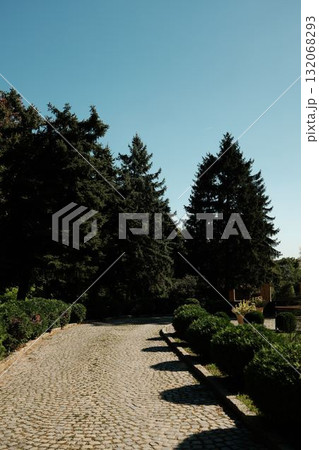 Stone paved path lined with green bushes and tall trees in Fruska gora on a sunny day. Serbia country 132068293