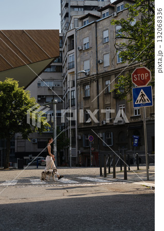 A woman walks with her red merle border collie puppy on a leash across a city crosswalk. Pet friendly Belgrade 132068336