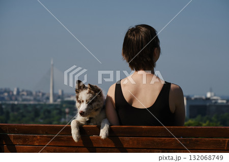 Woman with red merle border collie puppy on a bench in Kalemegdan Fortress, Belgrade, with city view and Ada Bridge in background. Rear view. Travel with pet concept Woman with red merle border collie puppy on a bench in Kalemegdan Fortress, Belgrade, with city view and Ada Bridge in background. Rear view. Travel with pet concept 132068749