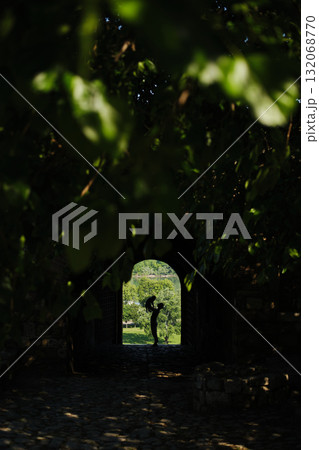 Woman lifting her red merle Border Collie puppy in the air, framed by an archway at Kalemegdan Fortress with green trees behind 132068770