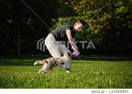 Young woman plays tug of war with red merle Border Collie puppy standing on grass, fun training and playful exercise Young woman plays tug of war with red merle Border Collie puppy standing on grass, fun training and playful exercise 132068905