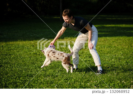 Young woman plays tug of war with red merle Border Collie puppy standing on grass, fun training and playful exercise Young woman plays tug of war with red merle Border Collie puppy standing on grass, fun training and playful exercise 132068952