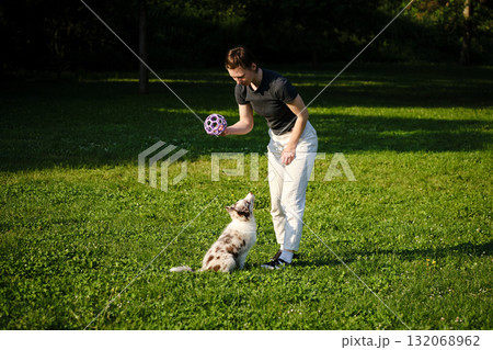 Woman trains red merle Border Collie puppy with purple toy on green grass, playful bonding and outdoor exercise 132068962