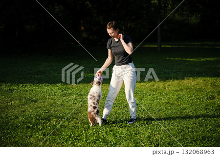 Young woman plays tug of war with red merle Border Collie puppy standing on grass, fun training and playful exercise 132068963