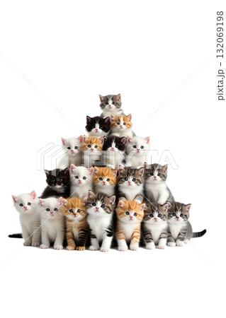 Pyramid of adorable fluffy kittens of different breeds and colors stacked playfully, cute chaotic collection isolated on transparent background 132069198